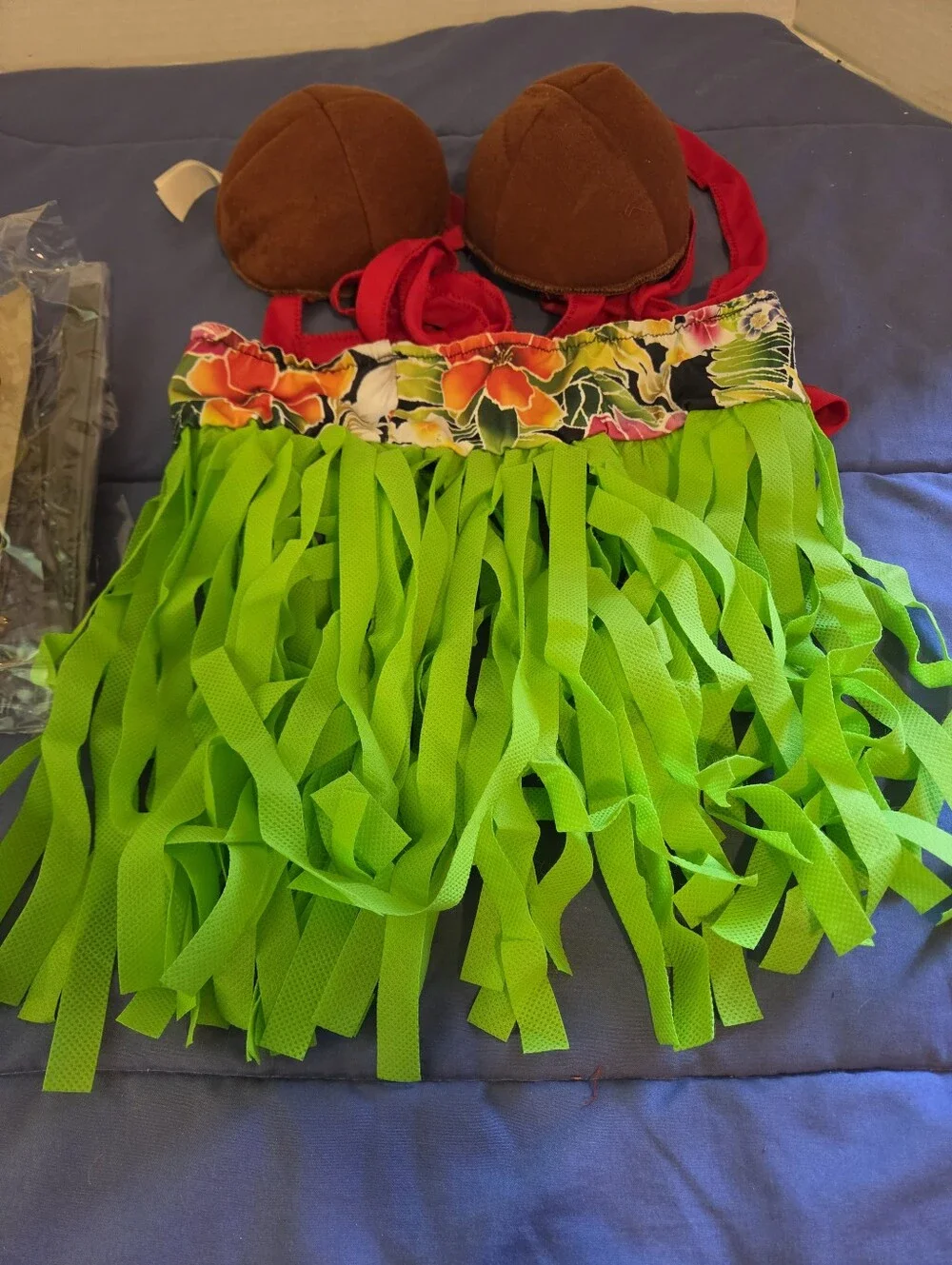 Zelda Wilson Hula Dog Costume